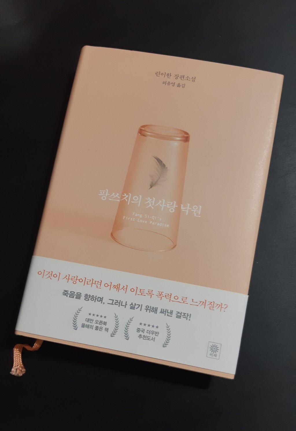 《房思琪的初戀樂園》韓文版評論